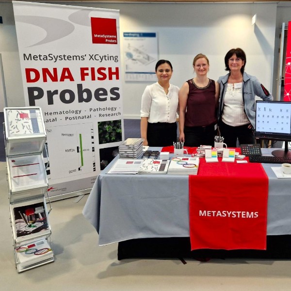 Greetings from Nijmegen, NL Greetings from Nijmegen, NL